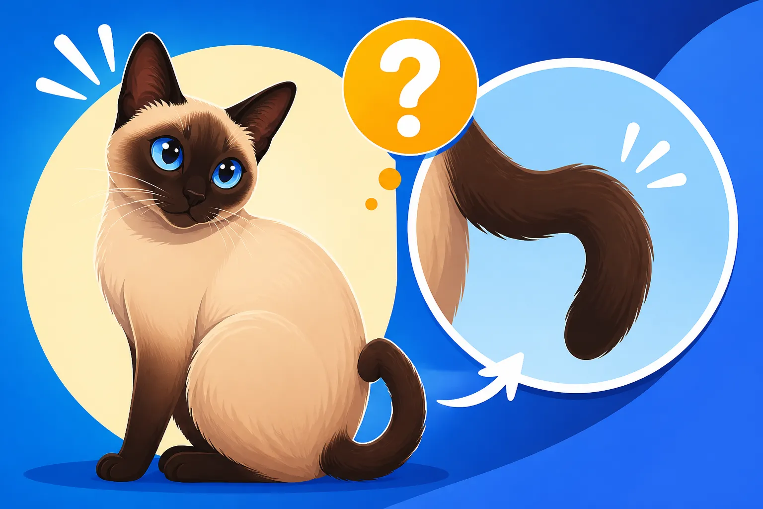 Why a Siamese Cat's Tail Kinks